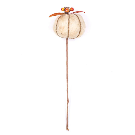 Harvest Pumpkin Stem Natural