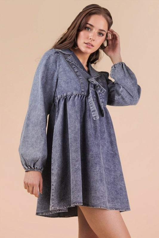 Chambray Collared Mini Dress