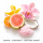 Solstice Perfume with Coconut & Tropical Citrus | Nontoxic