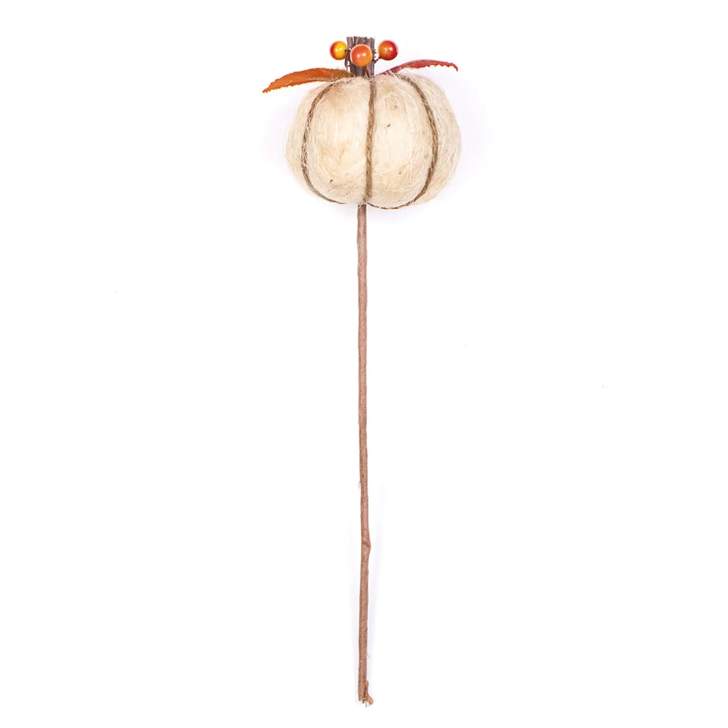 Harvest Pumpkin Stem Natural
