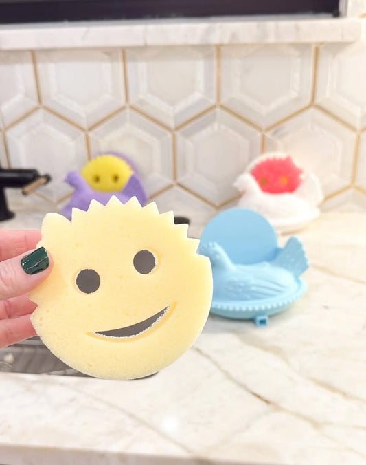 Chicken Sponge Holder