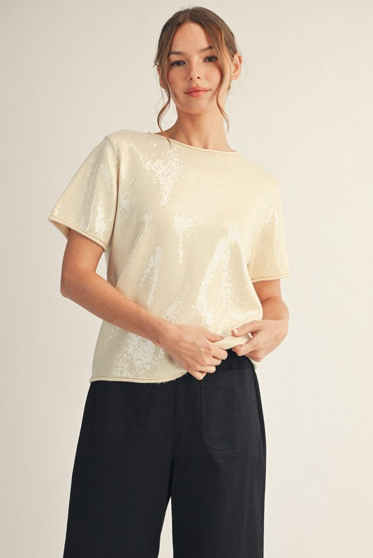 Tiny Sequins Covered Sweater Top