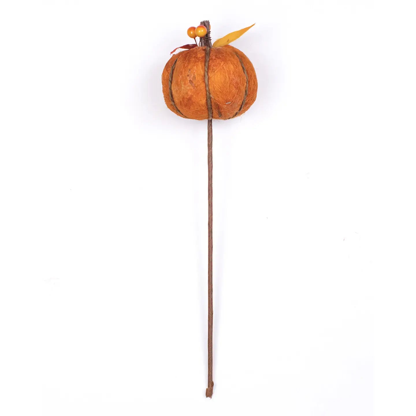 Harvest Pumpkin Stem Natural