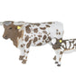 Longhorn Cow & Calf