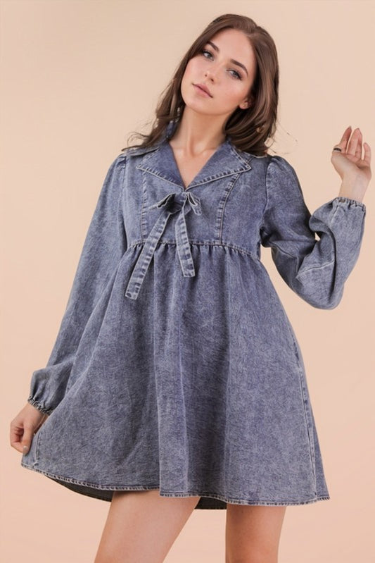 Chambray Collared Mini Dress