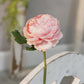 Peony Stems