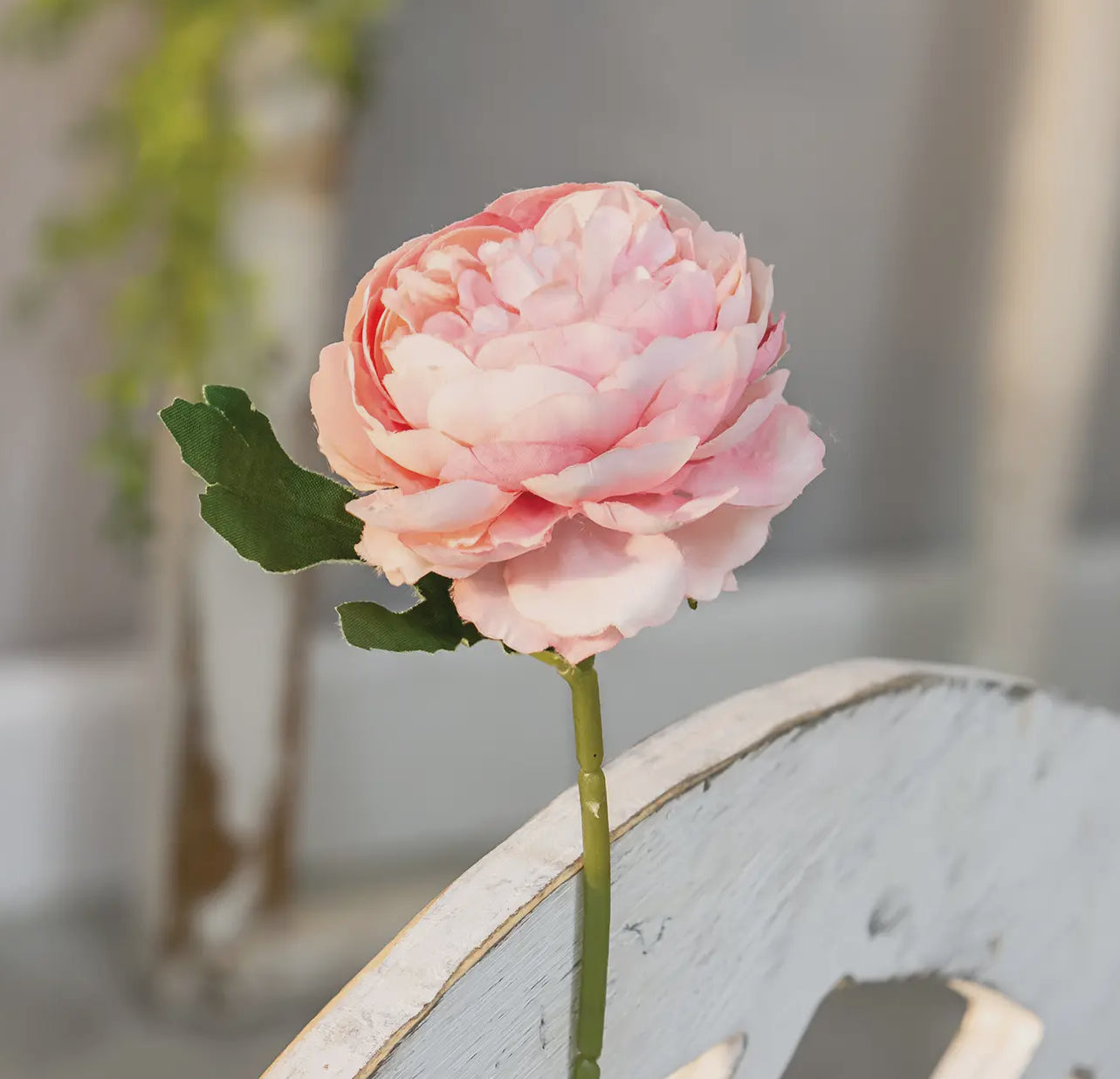 Peony Stems