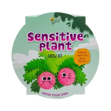 Buzzy seeds kids mini grow kit