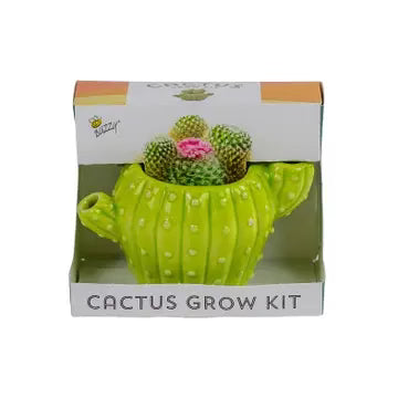 Cactus grow kit