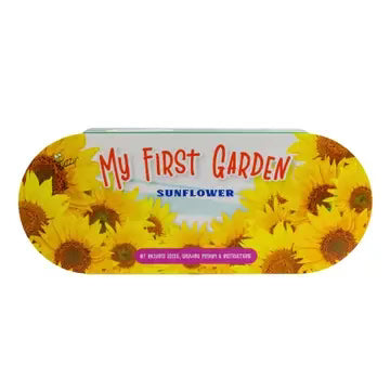 Sunflower grow kit